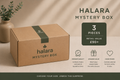 Halara Mystery Fashion Box (3 Items)